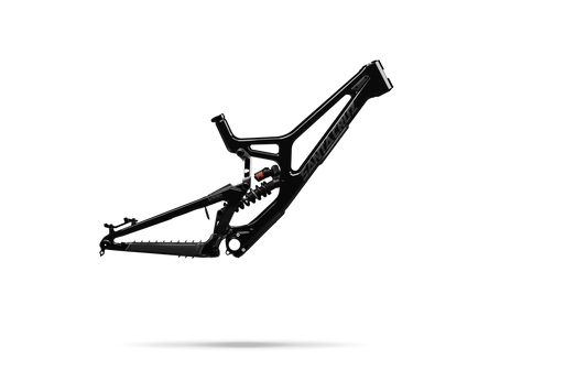 Santa Cruz V10 Frame Set