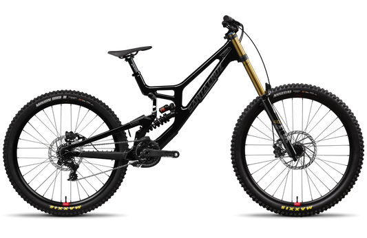 Santa Cruz V10 DH X01